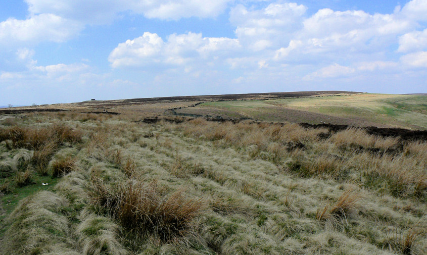 Totley Moss Totley Moss